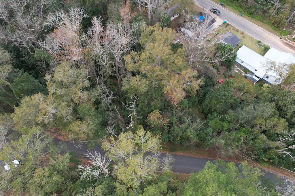 An aerial view shows a wooded lot situated between a paved road and nearby houses — 3-12-2N-4W-1100-0000B-009 STATION STREET, QUINCY, FL