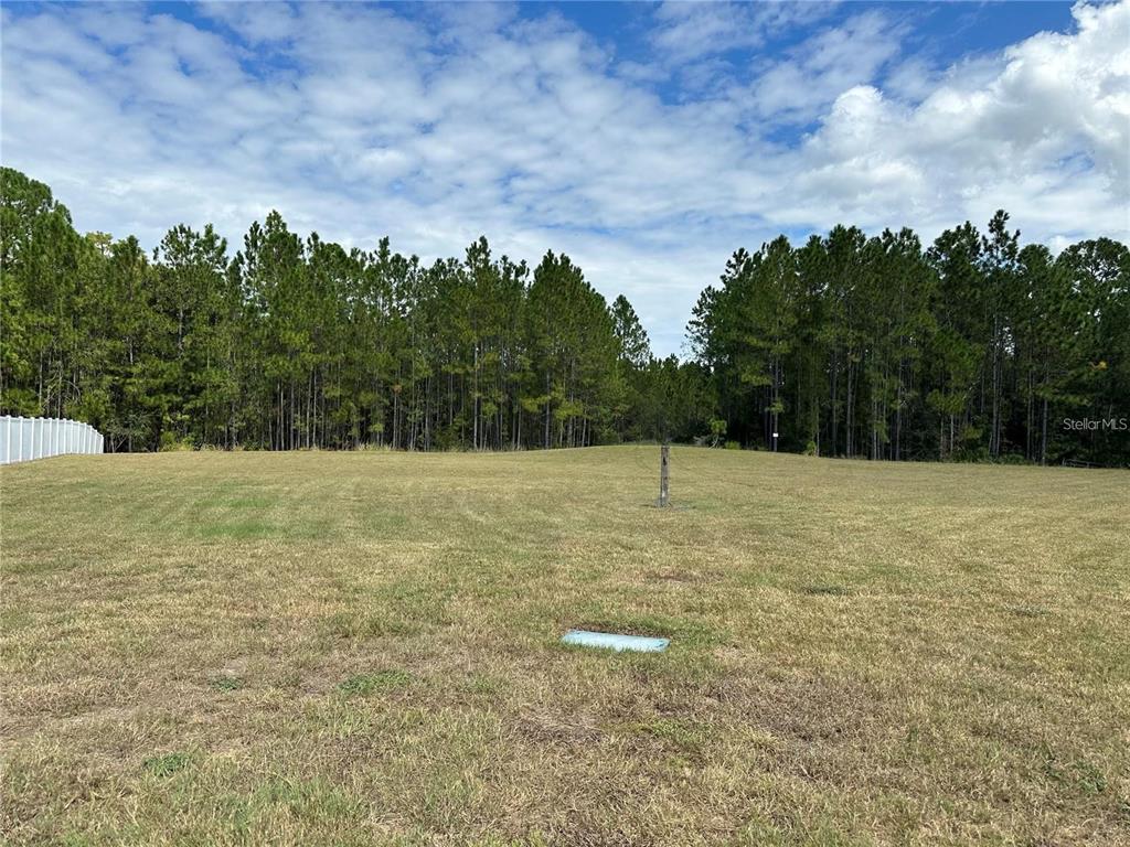 A grassy, vacant lot is bordered by a dense forest under a cloudy blue sky — 00 SHOOTING STAR COURT, NEW PORT RICHEY, FL