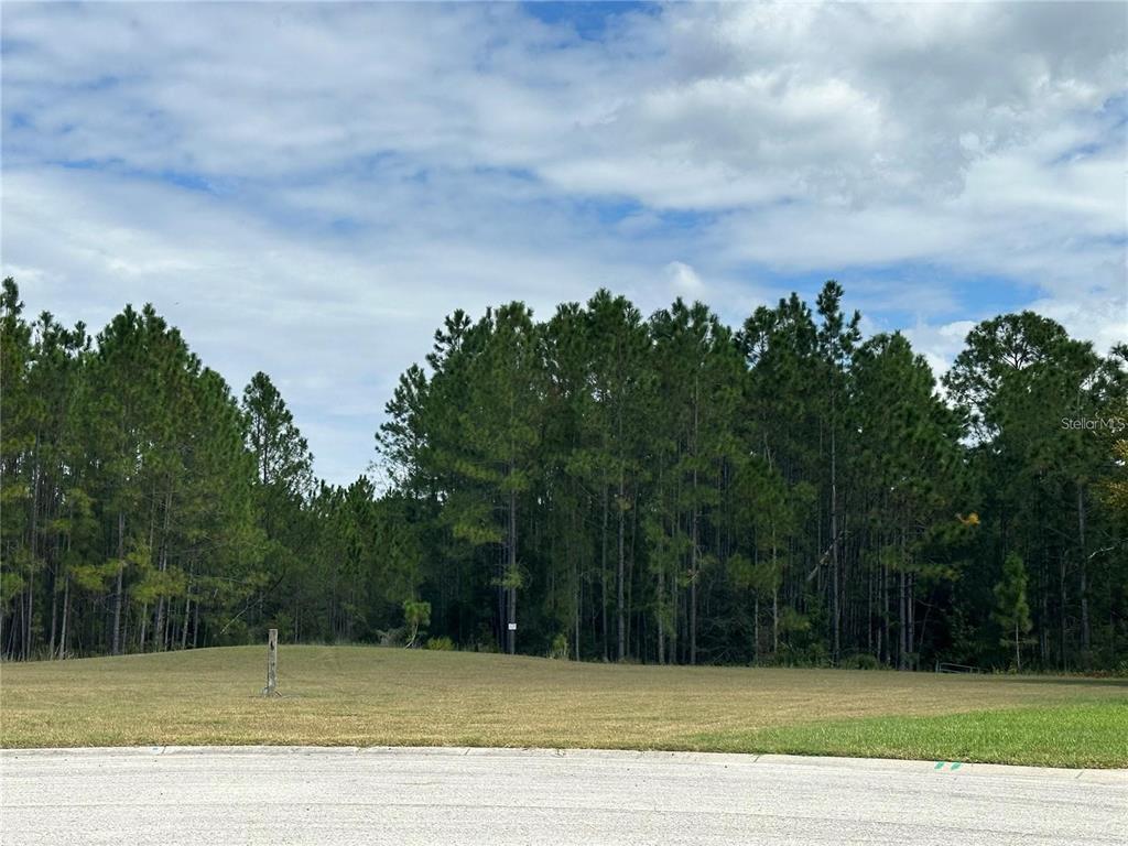A grassy, vacant lot is bordered by a dense forest under a cloudy blue sky — 00 SHOOTING STAR COURT, NEW PORT RICHEY, FL