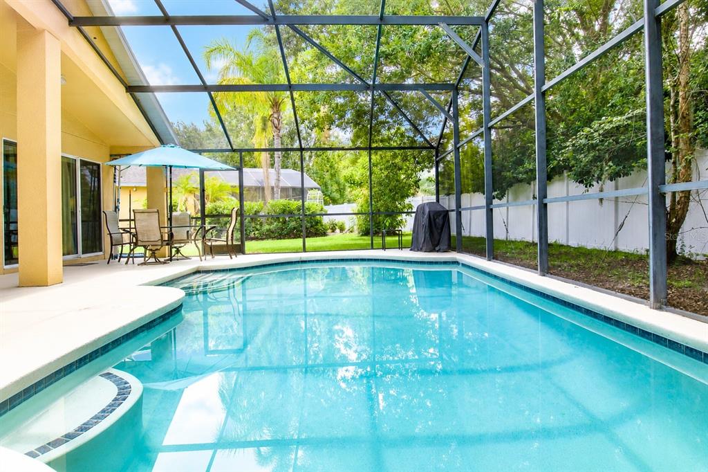 A swimming pool with a screened-in enclosure and a patio area with outdoor furniture — 2520 DHARMA CIRCLE, KISSIMMEE, FL