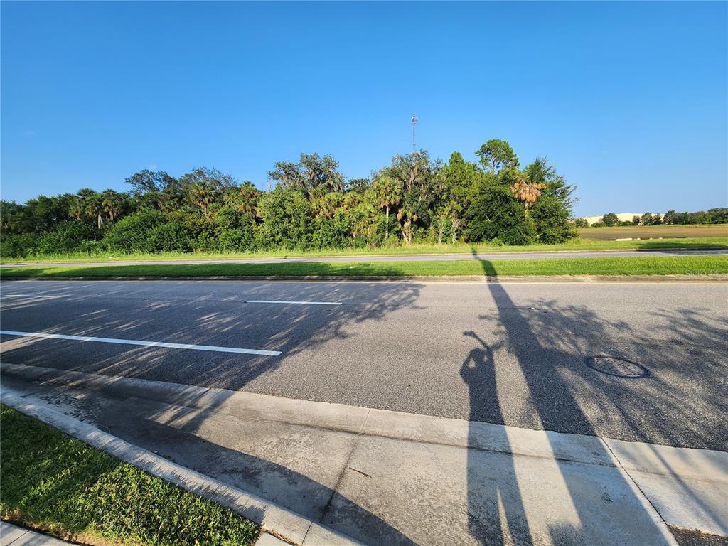 A paved road runs in front of a grassy area with trees and shrubs — ALBRIGHT ROAD, SANFORD, FL