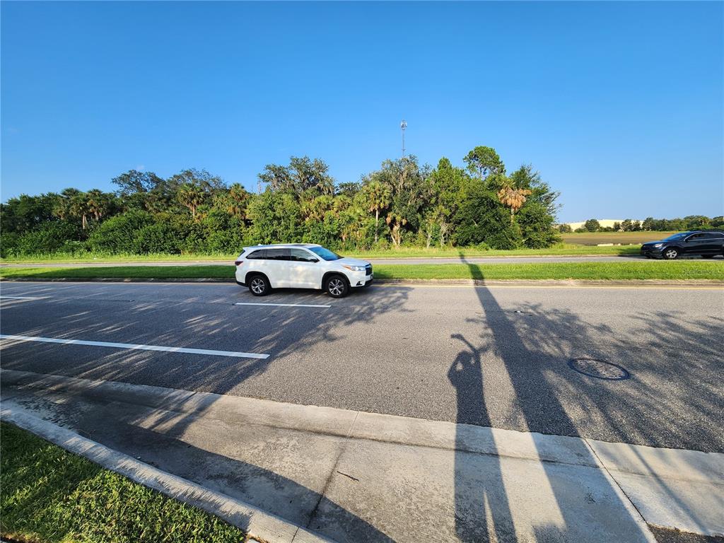 A white SUV drives on a road past a grassy area with trees and palms — ALBRIGHT ROAD, SANFORD, FL