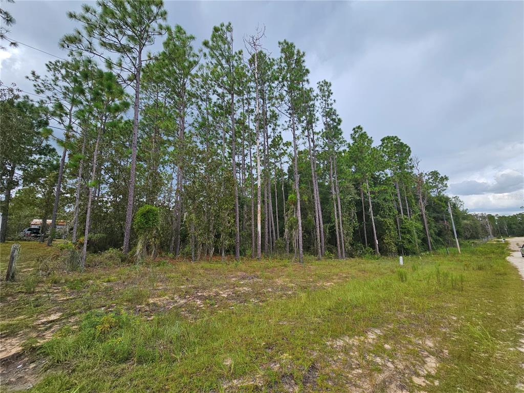 11730 NE 101ST TERRACE, ARCHER, FL — photo 2 of 7