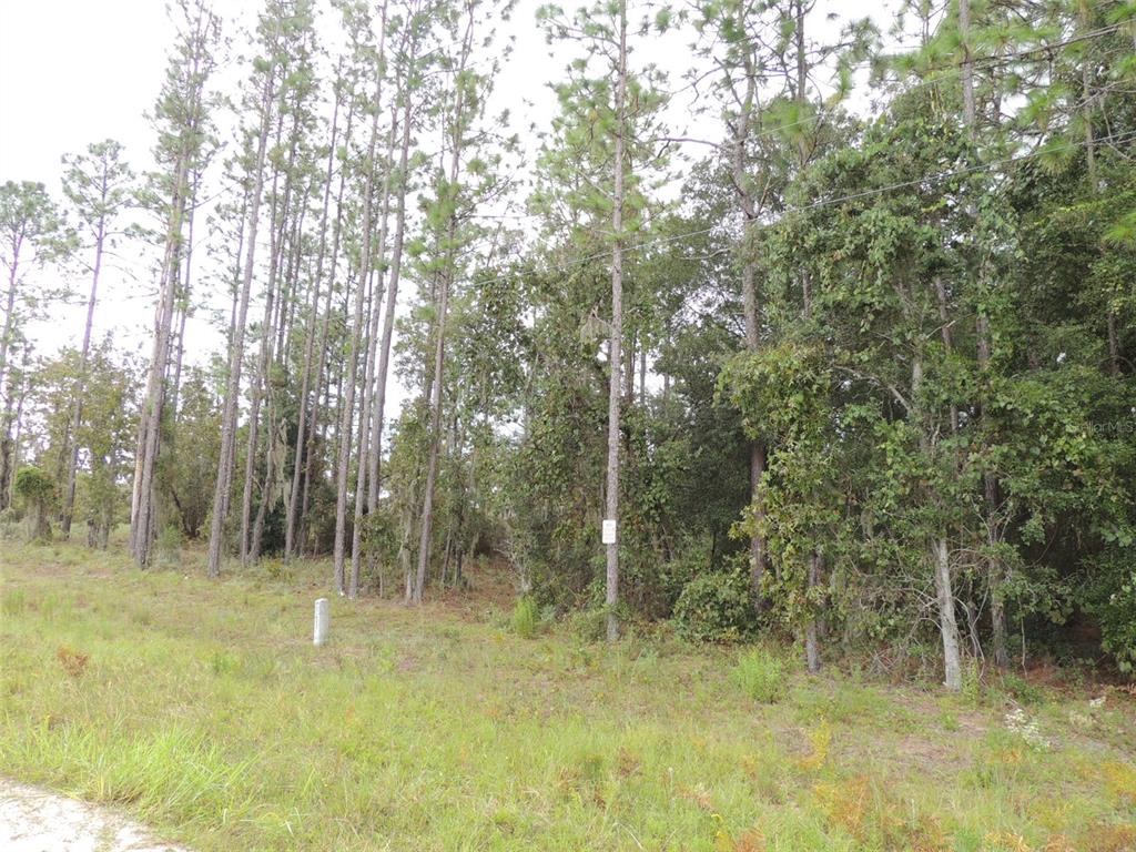 11730 NE 101ST TERRACE, ARCHER, FL — photo 4 of 7