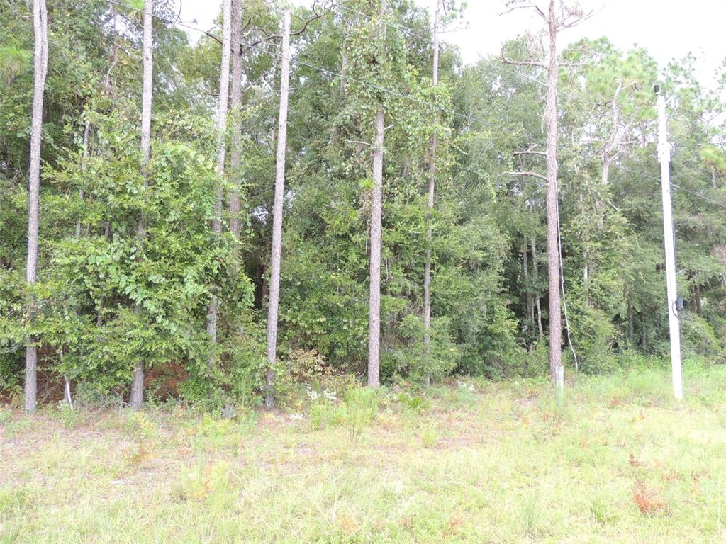 11730 NE 101ST TERRACE, ARCHER, FL — photo 5 of 7
