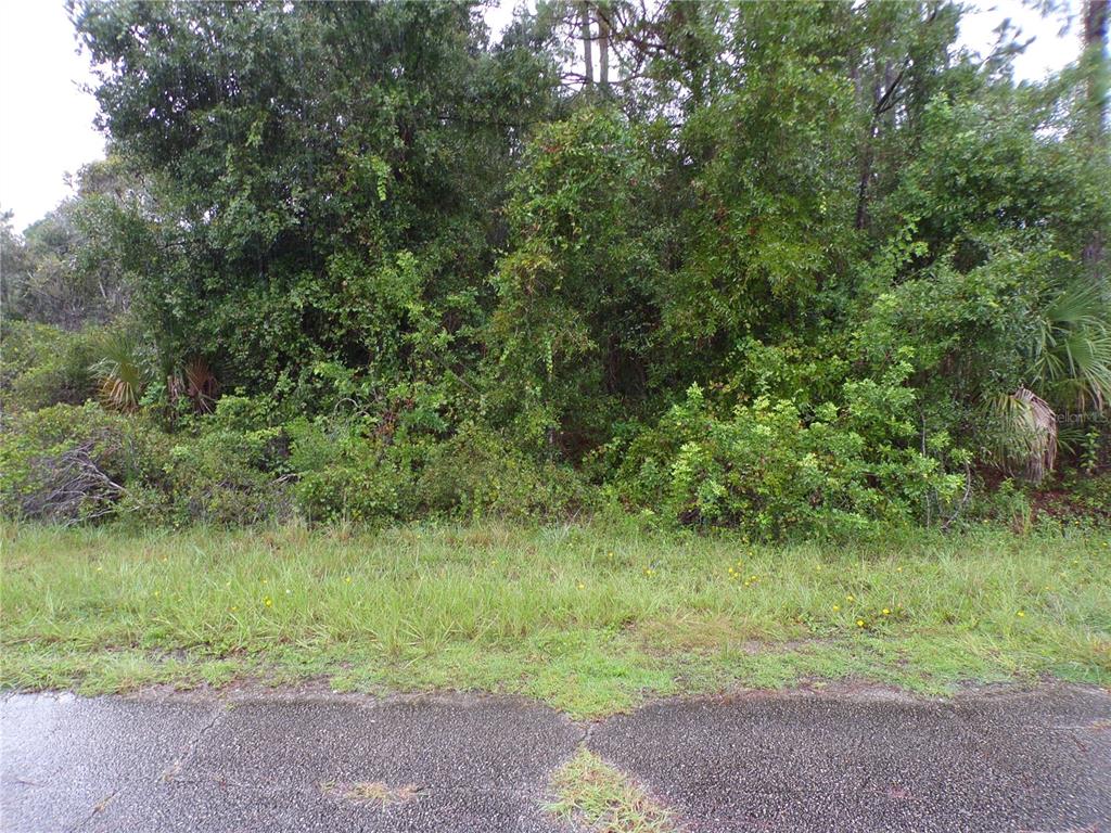 A view of a densely wooded, undeveloped residential lot from the edge of a road — NOCTURN STREET, NORTH PORT, FL