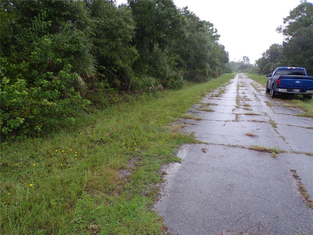 A blue pickup truck is parked on a weathered, cracked asphalt road beside dense woods — NOCTURN STREET, NORTH PORT, FL