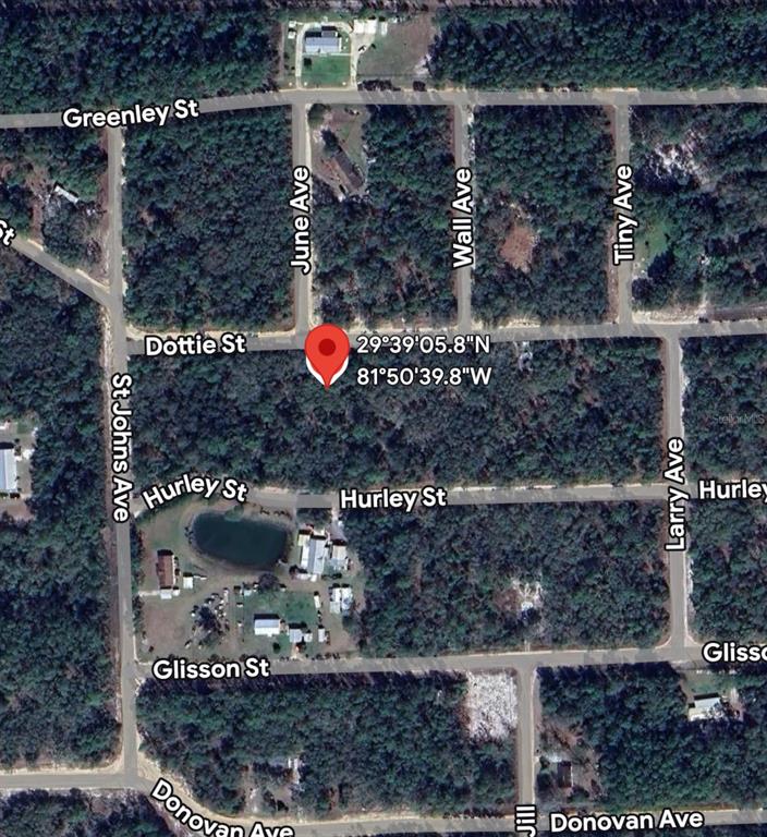 This is a satellite map view of a wooded residential area with several intersecting streets — 109 DOTTIE STREET, INTERLACHEN, FL