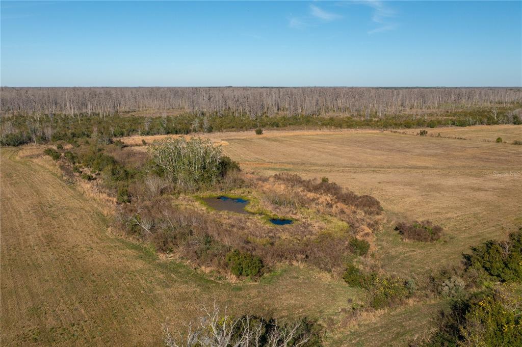 An aerial view shows a small pond surrounded by brush in a large, open field — 601 DIAMOND ACRES ROAD, DAVENPORT, FL