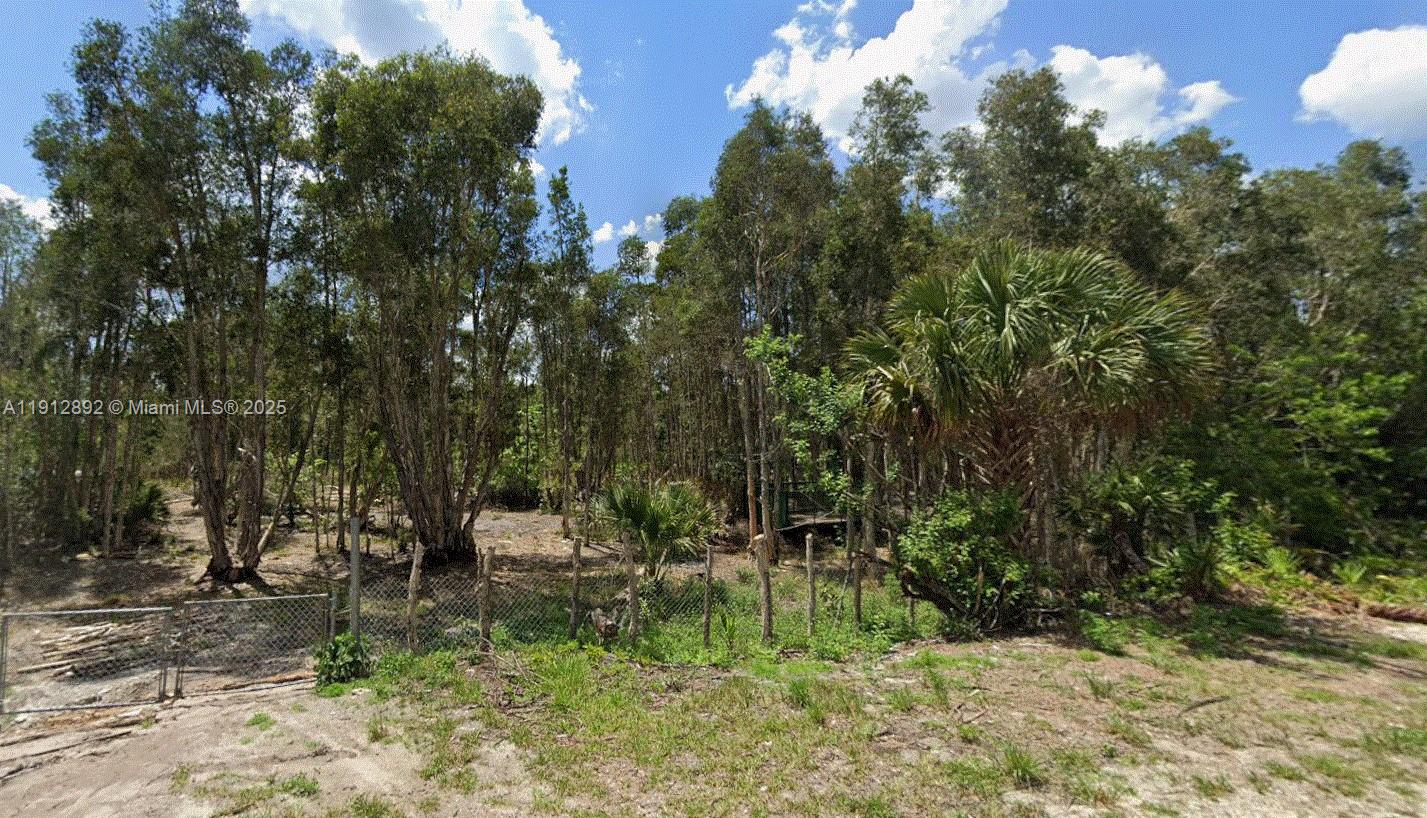A chain-link fence borders a wooded lot with tall trees and a palm tree — 1015 Legion Ave, Lehigh Acres FL 33974, LEHIGH ACRES, FL