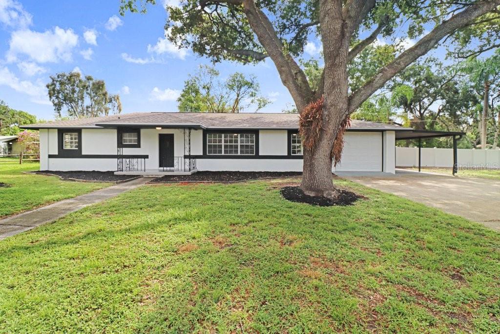 A single-story house with white siding, black trim, a large tree, and a carport — 12113 MIDLAKE DRIVE, TAMPA, FL