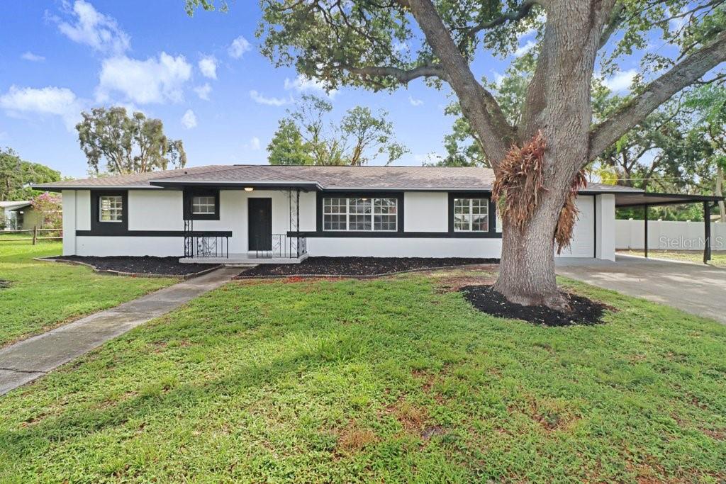 A single-story house with white stucco walls, black trim, and a large front yard tree — 12113 MIDLAKE DRIVE, TAMPA, FL
