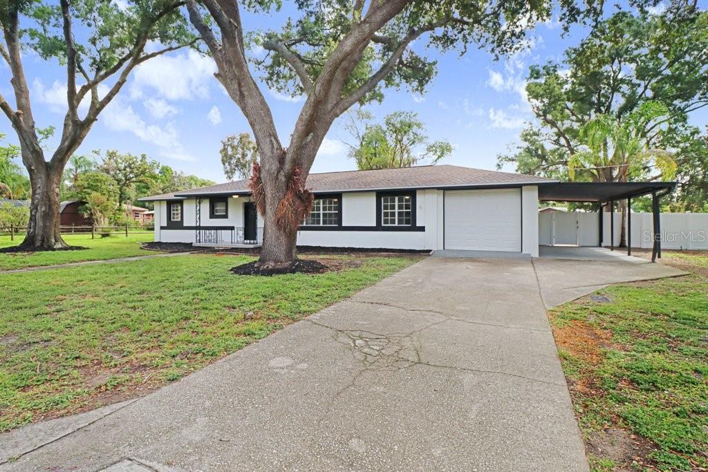 A single-story white house with black trim, a concrete driveway, and large oak trees — 12113 MIDLAKE DRIVE, TAMPA, FL