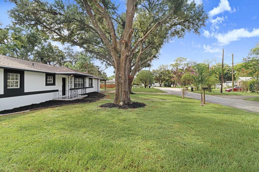 A white house with black trim sits behind a large tree on a grassy lawn — 12113 MIDLAKE DRIVE, TAMPA, FL