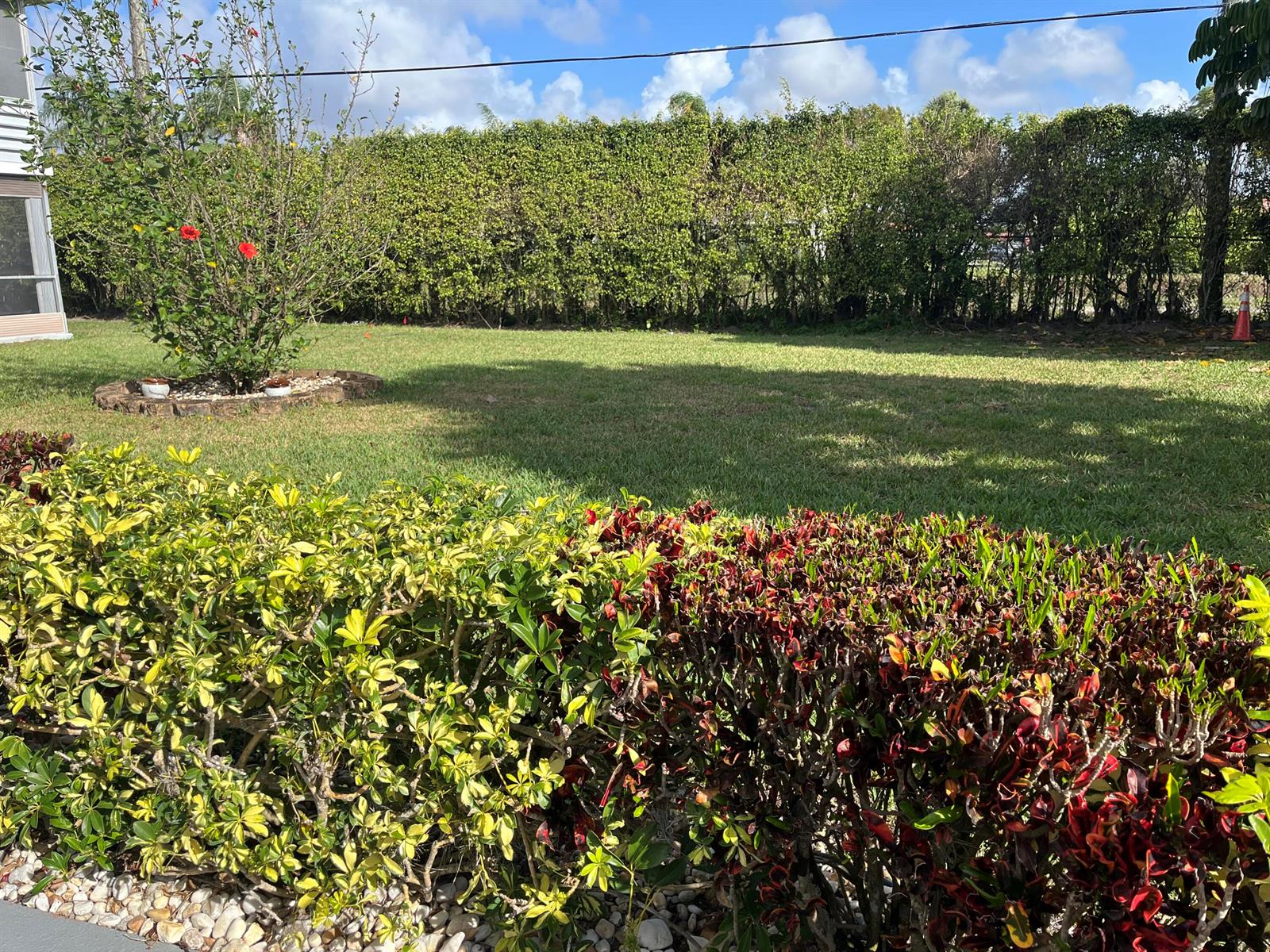 A grassy backyard features a hibiscus tree, a manicured hedge, and a tall privacy hedge — 142 Normandy C, Delray Beach FL 33484, DELRAY BEACH, FL
