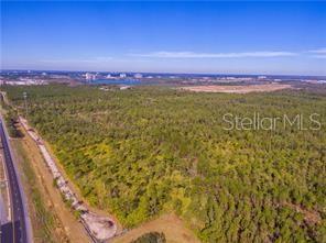 An aerial view shows a large, undeveloped plot of wooded land next to a paved road — INTERNATIONAL DRIVE, ORLANDO, FL