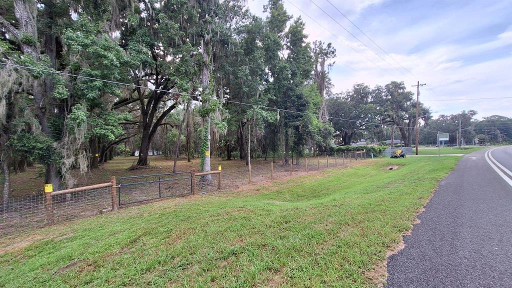 A fenced, wooded lot sits beside a paved road with a grassy drainage ditch — 5316 SW 13TH STREET, GAINESVILLE, FL