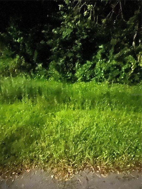 A grassy, undeveloped lot is bordered by a dense line of trees at night — 814 MASSY COURT, KISSIMMEE, FL