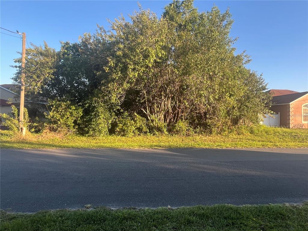 A vacant, tree-covered residential lot sits between two houses along a paved street — 814 MASSY COURT, KISSIMMEE, FL