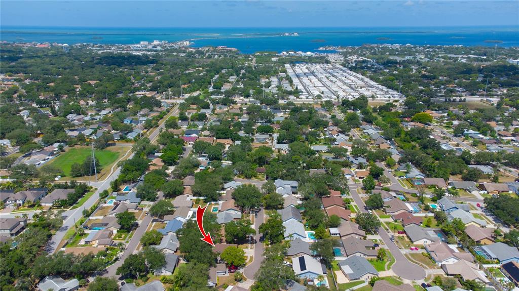 An aerial view shows a suburban neighborhood with a red arrow pointing to a house — 1564 COLONY COURT, PALM HARBOR, FL