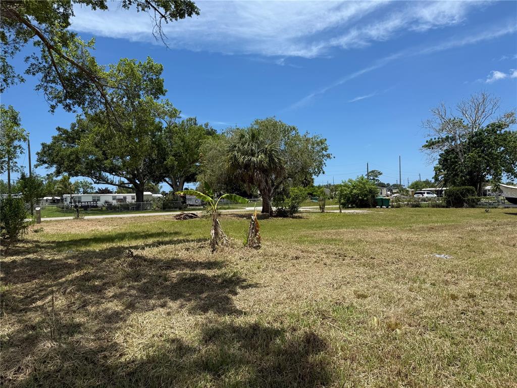 A grassy, sunlit lot features scattered trees and a small palm under a blue sky — 3825 BRAVO ROAD, PORT CHARLOTTE, FL
