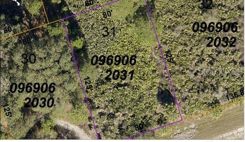 This is a satellite map view showing a rectangular plot of land labeled as lot 31 — BRIXTON TERRACE, NORTH PORT, FL