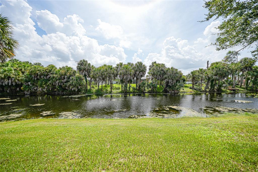 A grassy lawn overlooks a pond bordered by a dense line of palm trees — 1182 YORKSHIRE STREET, PORT CHARLOTTE, FL