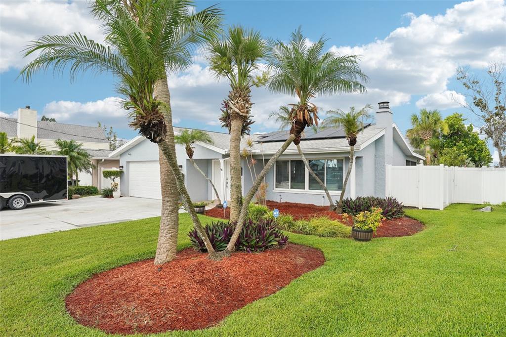 A light blue house features a front lawn with palm trees and red mulch beds — 6010 BAYOU GRANDE BOULEVARD NE, ST PETERSBURG, FL