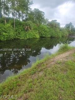 A narrow canal flows alongside a grassy bank lined with dense trees and vegetation — 439 Naples AVE S, Lehigh Acres FL 33974, LEHIGH ACRES, FL