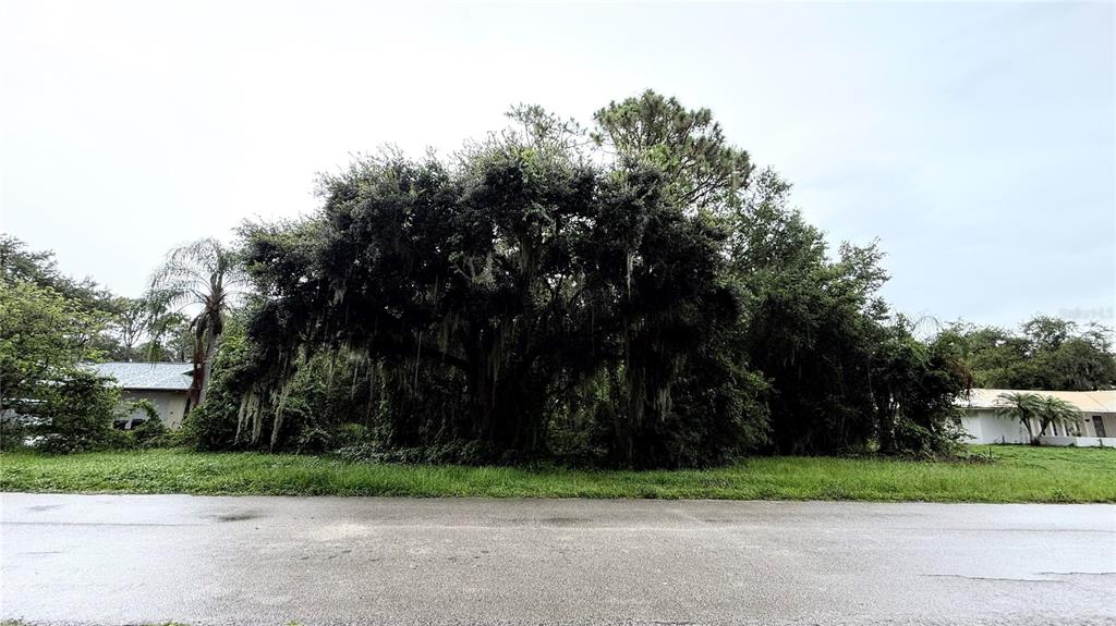 6225 SHERMAN TERRACE, SEBRING, FL — photo 4 of 9