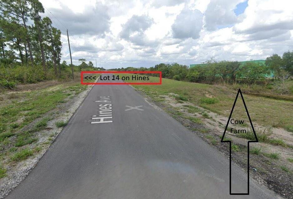 This street-level view shows a paved road bordered by grassy areas and trees — 1003 Hines Avenue, FL 33920, FL
