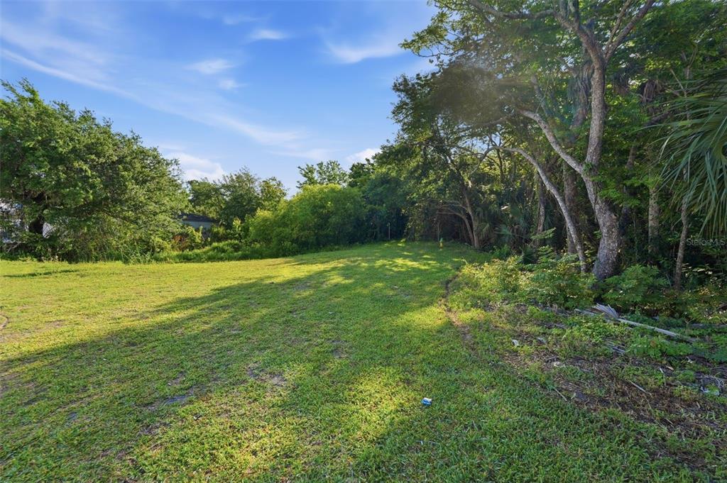A grassy, vacant lot is bordered by dense trees and foliage under a blue sky — 7810 CLARK MOODY BOULEVARD, PORT RICHEY, FL