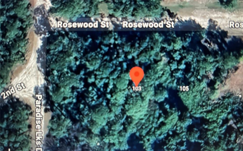 This is a satellite map view showing a plot of land near Rosewood Street — 103 ROSEWOOD STREET, GEORGETOWN, FL