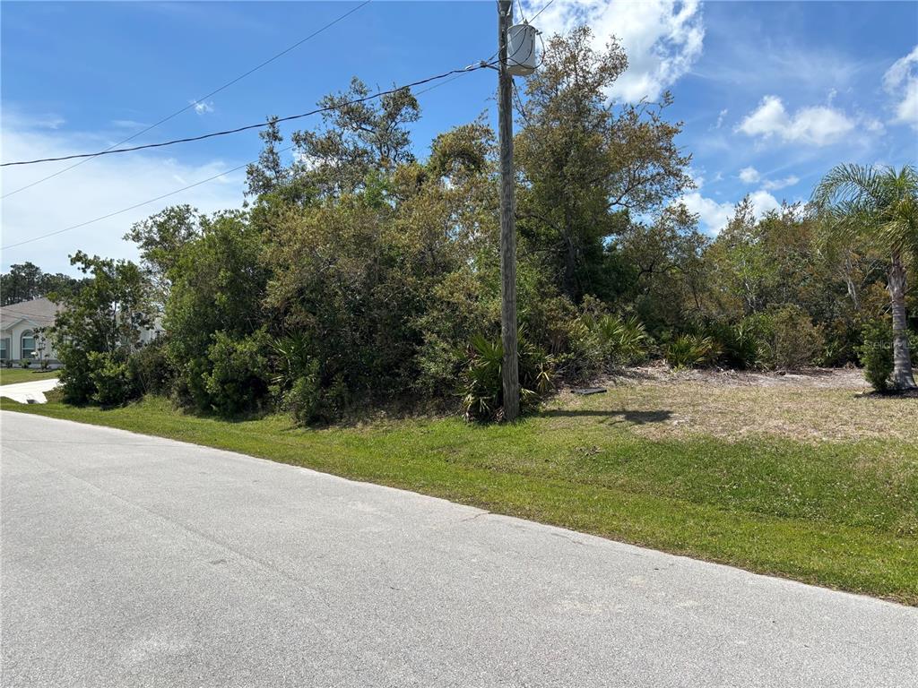 A vacant, wooded residential lot sits next to a paved road and a utility pole — 28 FALLWOOD LANE, PALM COAST, FL