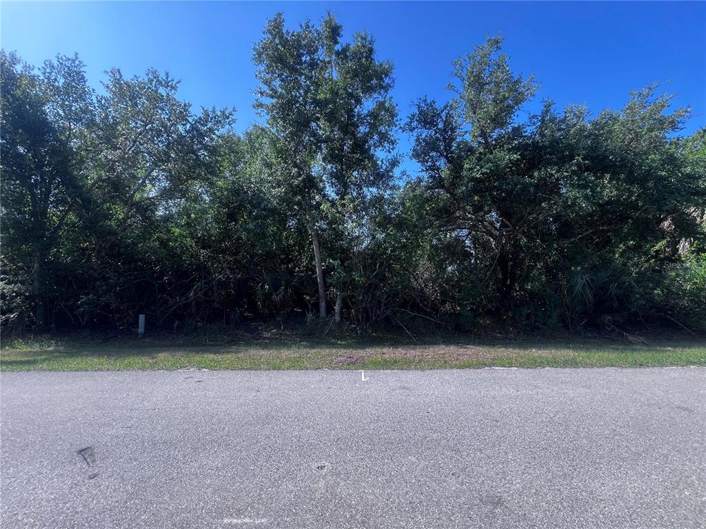 A paved road runs in front of a wooded, undeveloped residential lot — 27195 ADAMS STREET, PUNTA GORDA, FL