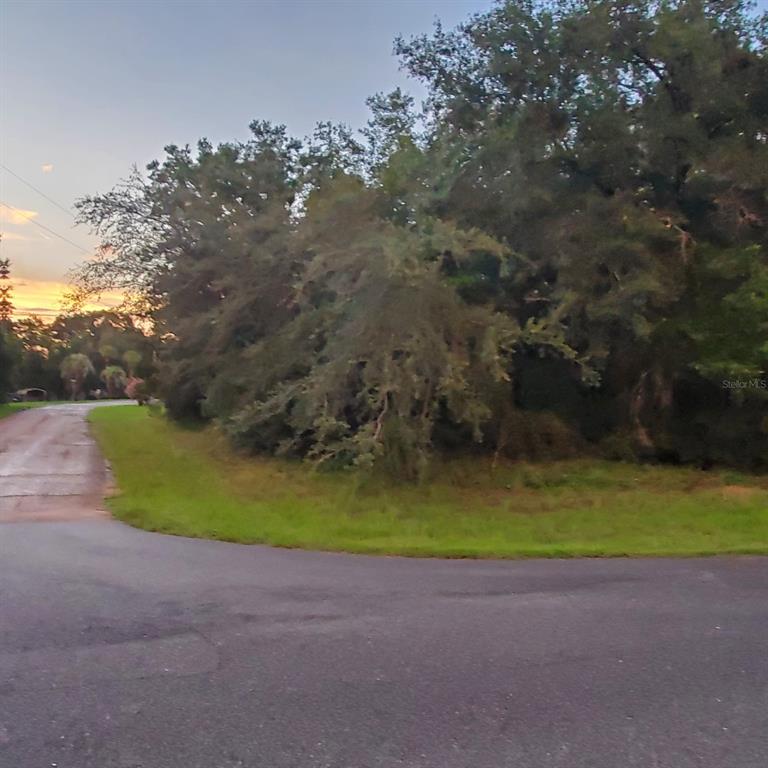 A paved road curves past a wooded lot at sunset — 2763 W CENTURY BOULEVARD, CITRUS SPRINGS, FL