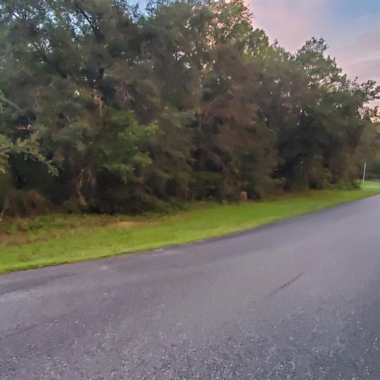 A paved road runs alongside a grassy verge bordering a dense line of mature trees — 2763 W CENTURY BOULEVARD, CITRUS SPRINGS, FL