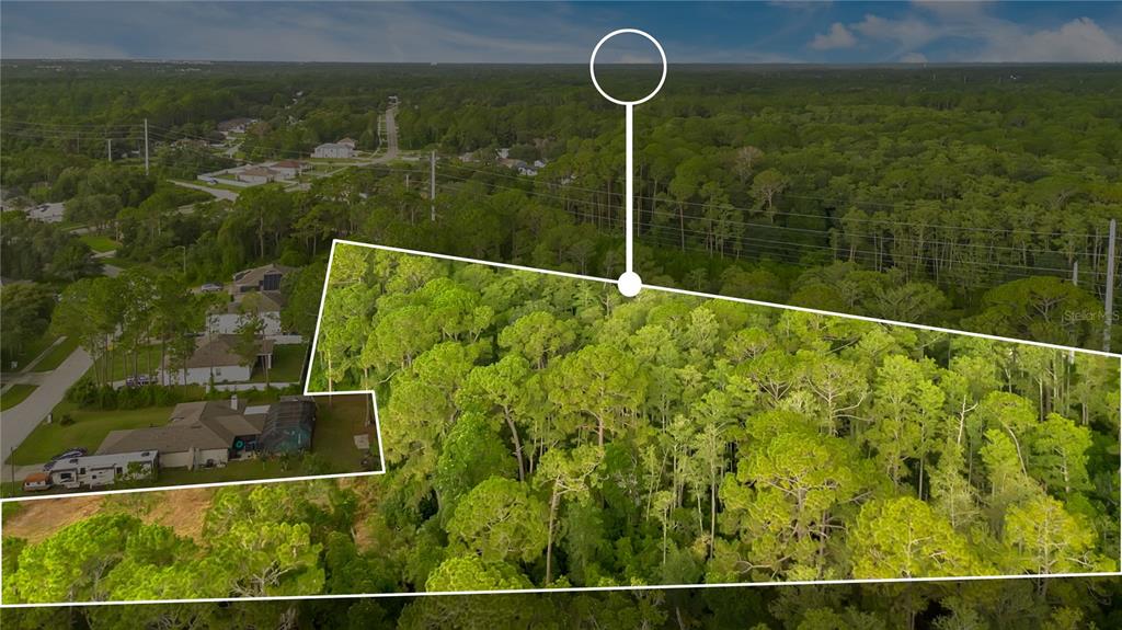 An aerial view shows a wooded lot outlined in white next to a residential neighborhood — 3198 SNOW DRIVE, DELTONA, FL
