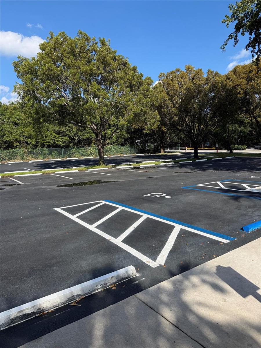 An outdoor parking lot features marked handicap spaces with blue lines and white painted symbols — 3410 29th Avenue, Hollywood FL 33020, HOLLYWOOD, FL