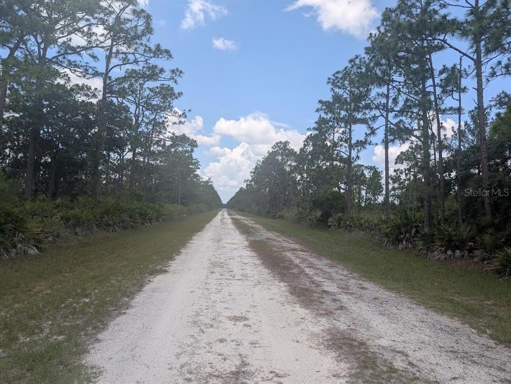 A dirt road stretches through a wooded area under a blue sky with clouds — 904 LAGUNA DRIVE, INDIAN LAKE ESTATES, FL