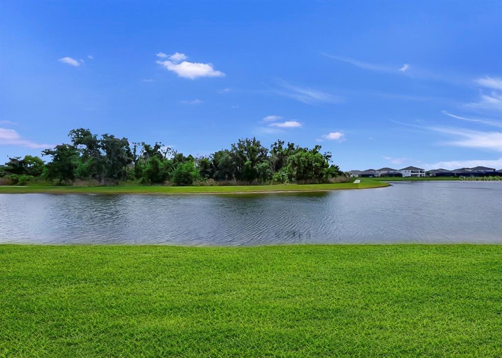 A grassy lawn overlooks a pond with a treeline and houses in the distance — 12873 TRIPOLI AVENUE, RIVERVIEW, FL