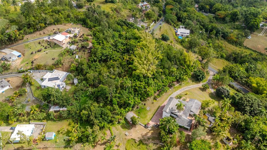 An aerial view shows several houses surrounded by dense trees and grassy hillsides — URB LA ESMERALDA A1 ORQUÍDEA, CAGUAS, PR