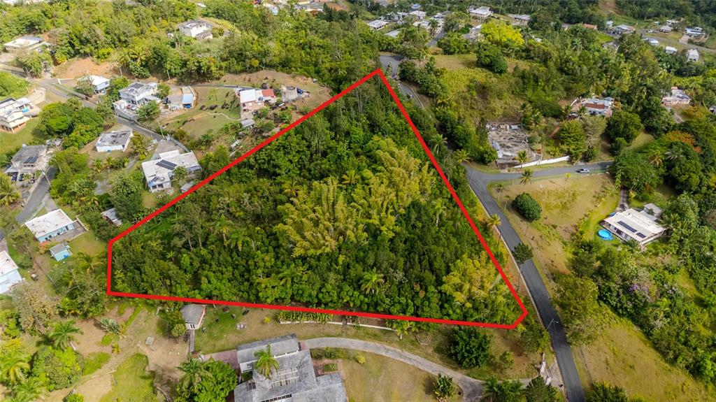 An aerial view shows a triangular plot of land densely covered with trees and vegetation — URB LA ESMERALDA A1 ORQUÍDEA, CAGUAS, PR