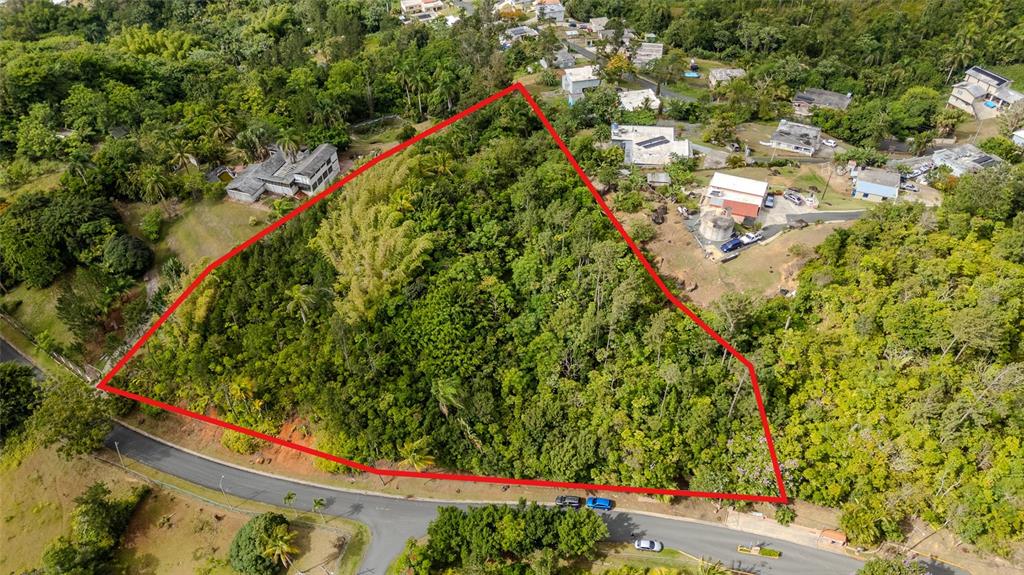 An aerial view shows a wooded, triangular plot of land bordered by a paved road — URB LA ESMERALDA A1 ORQUÍDEA, CAGUAS, PR