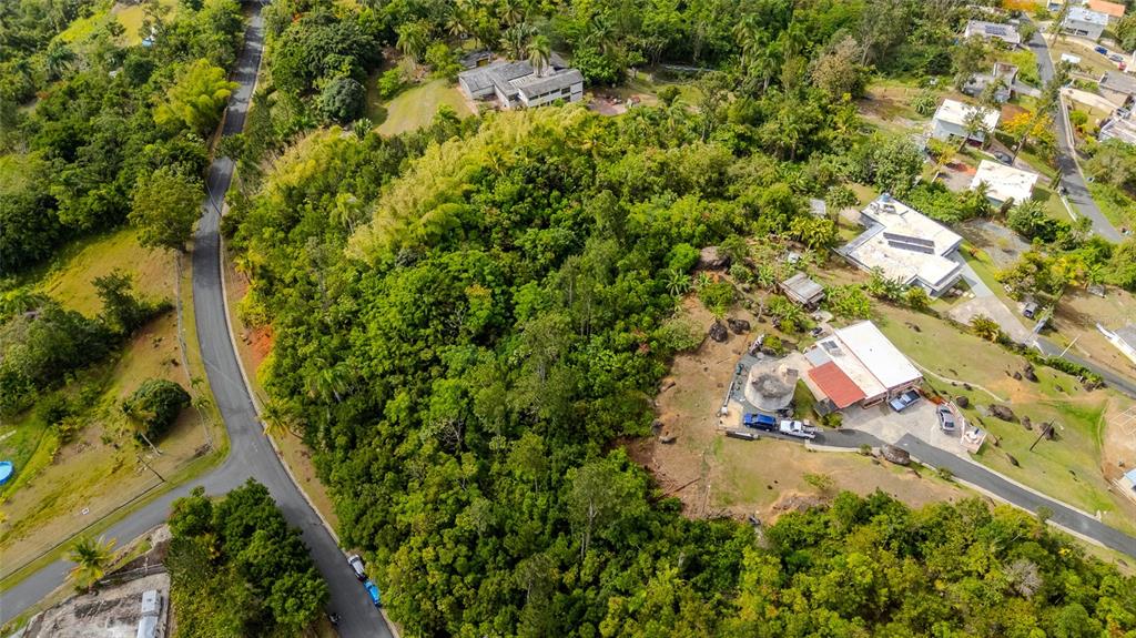 An aerial view shows a wooded lot situated between residential houses and a winding road — URB LA ESMERALDA A1 ORQUÍDEA, CAGUAS, PR