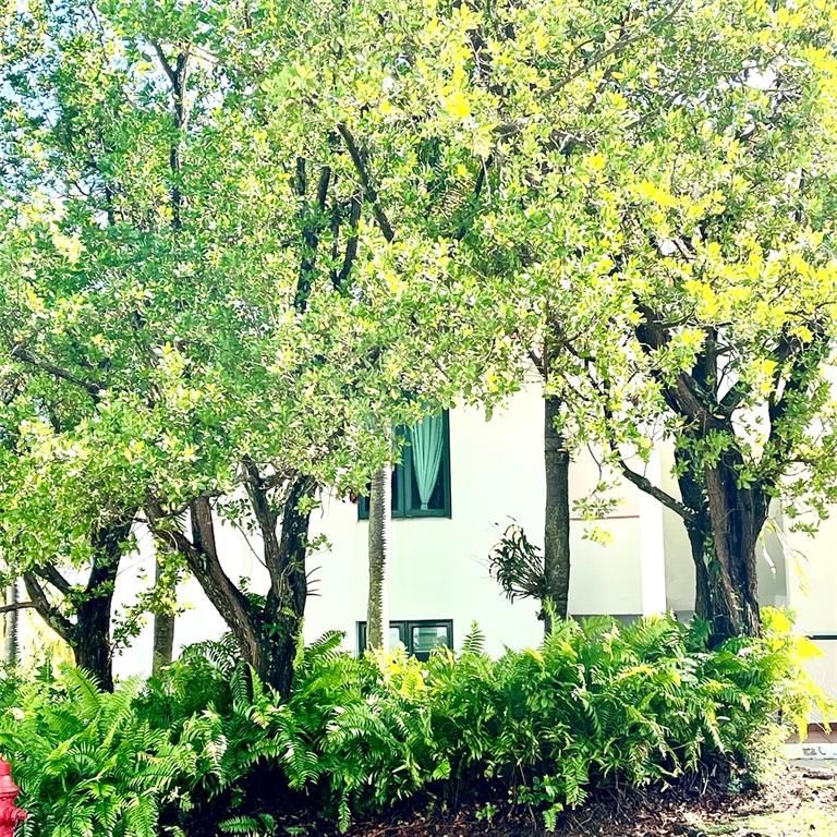 A white building exterior is partially obscured by lush green trees and a fern garden — 22-01 COND. RIO MAR VILLAGE UNIT #22-01, RIO GRANDE, PR