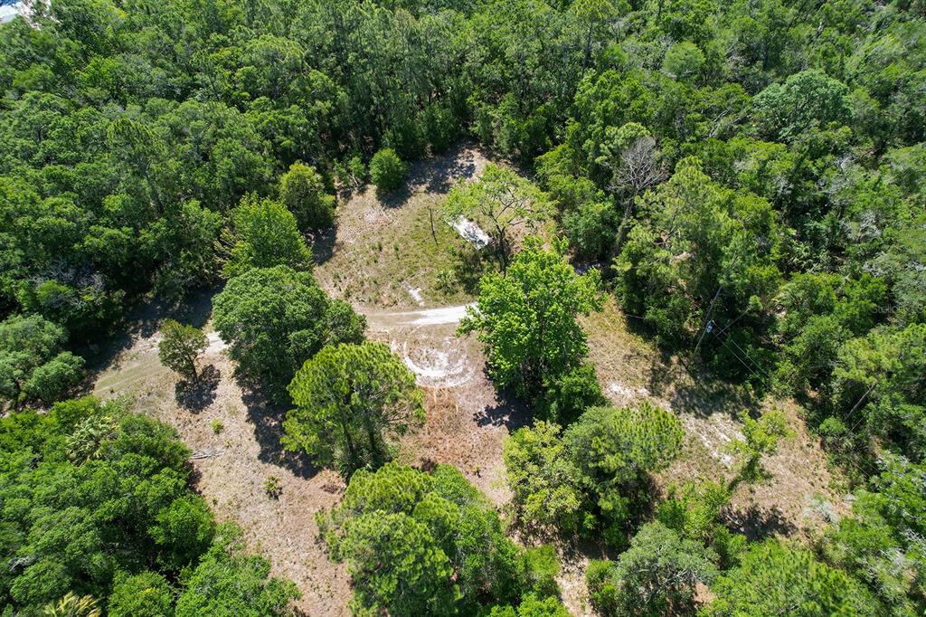 An aerial view shows a cleared, grassy lot surrounded by dense trees and vegetation — 8744 W OAK STREET, CRYSTAL RIVER, FL