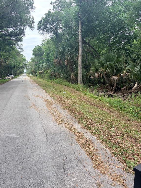 A paved road runs alongside a wooded area with palm trees and dense vegetation — 8744 W OAK STREET, CRYSTAL RIVER, FL