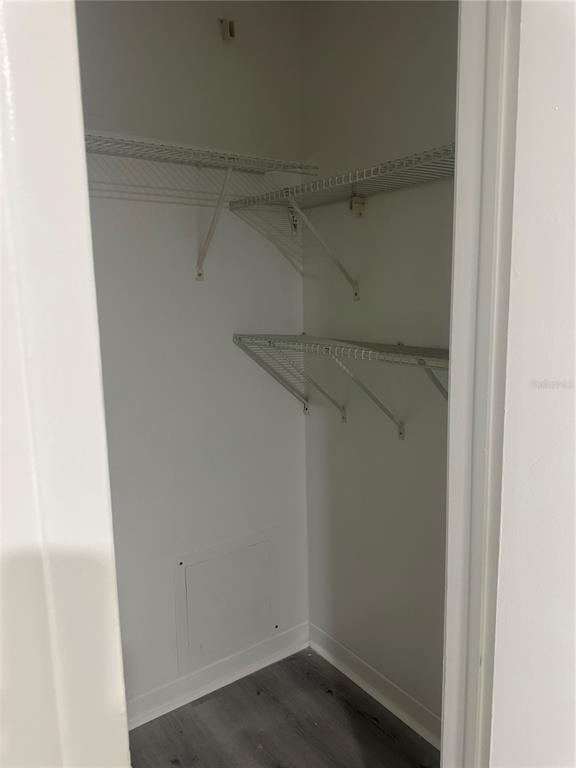 A small walk-in closet features white walls, gray wood-look flooring, and white wire shelving — 8426 CAMDEN STREET UNIT D, TAMPA, FL