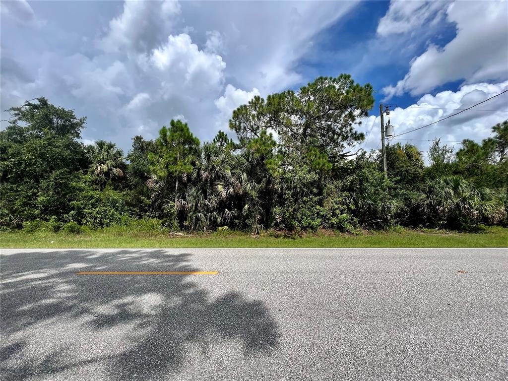 A paved road runs in front of a dense, wooded lot with tall trees and palms — 168 PRINEVILLE STREET, PORT CHARLOTTE, FL